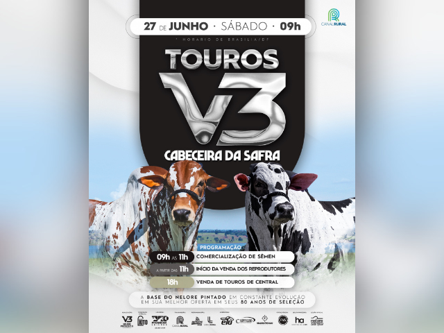 Leilão Touros Cabeceira da Safra