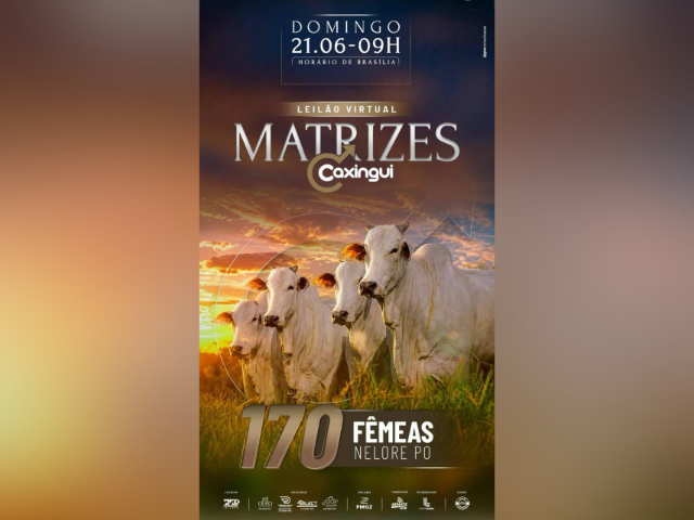 Leilão Virtual Matrizes Caxingui