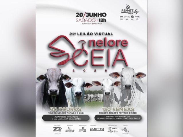 21º Leilão Virtual Nelore Ceia