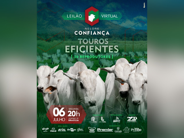 Leilão Virtual Nelore Confiança – Touros Eficientes