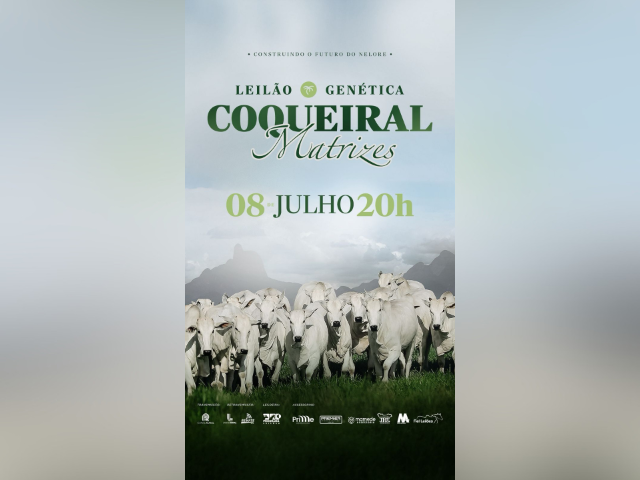 Leilão Genética Coqueiral Matrizes