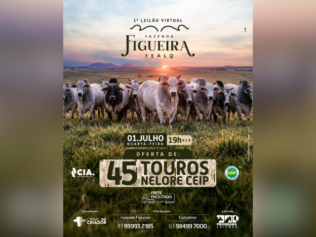1° Leilão Virtual Fazenda Figueira – FEALQ