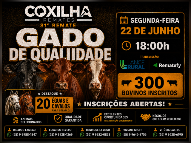 81º Remate Gado de Qualidade