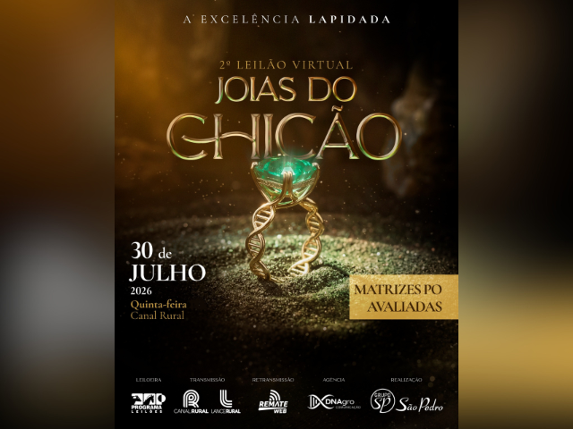 2° Leilão Virtual Joias do Chicão – Matrizes PO