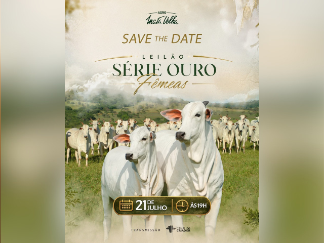Leilão Série Ouro – Etapa Fêmeas