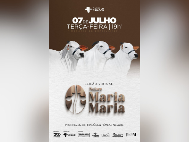 Leilão Virtual Nelore Maria Maria
