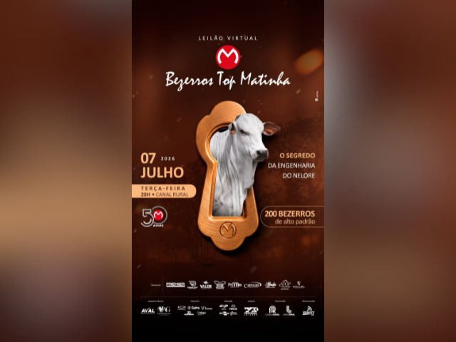 Leilão Virtual Bezerros Top Matinha