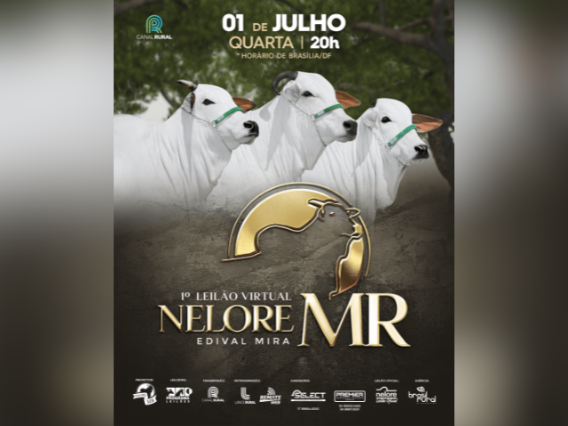 1º Leilão Virtual Nelore MR