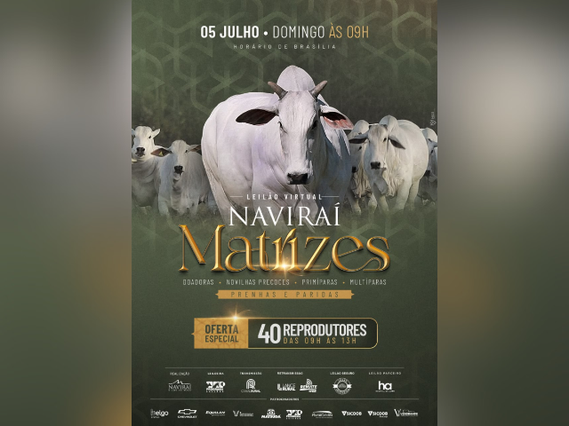 Leilão Virtual Naviraí – Matrizes