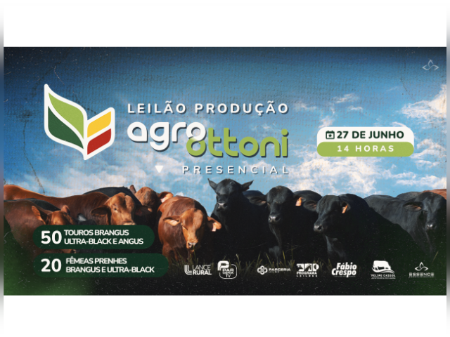 Leilão Produção Agro Ottoni