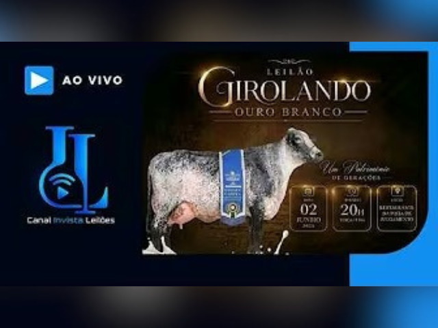 Leilão Anual Girolando Ouro Branco