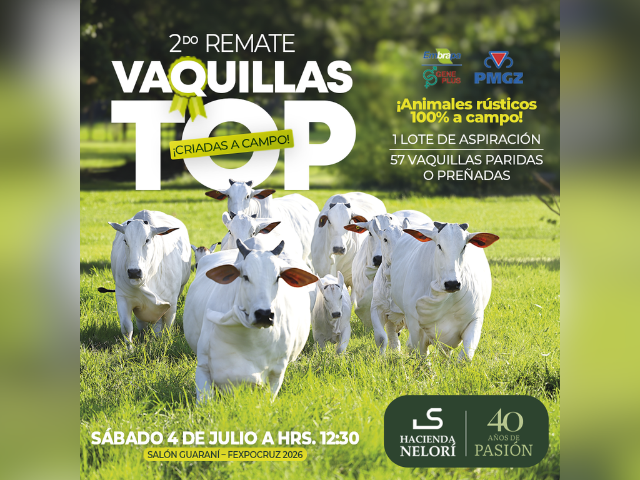 2º Remate Vaquillas Top