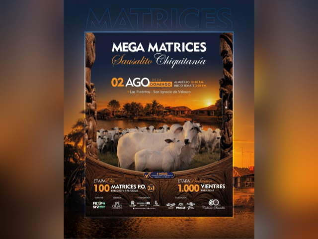 Remate Mega Matrices Sausalito Chiquitanía