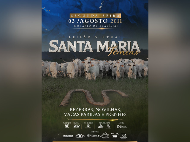 Leilão Virtual Santa Maria – Etapa Fêmeas