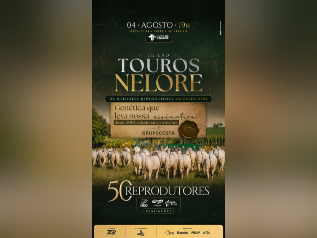 Leilão Touros Nelore Grupo Costa – Etapa Reprodutores