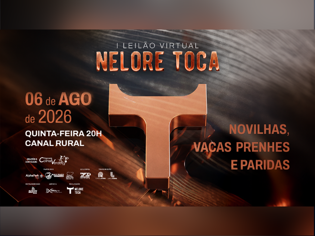 1° Leilão Virtual Nelore Toca