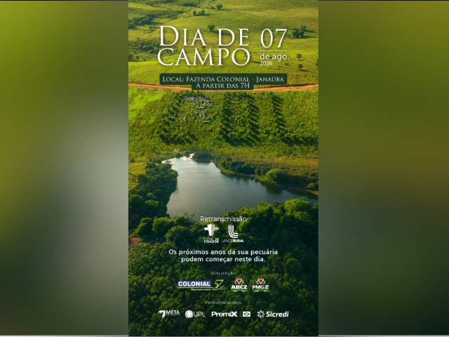 Dia De Campo Colonial