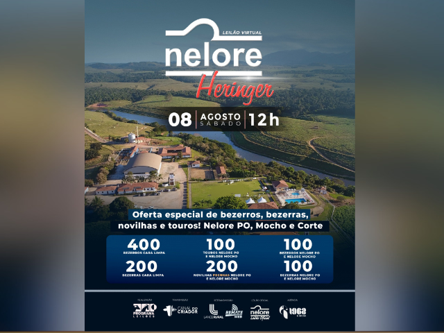 Leilão Virtual Nelore Heringer