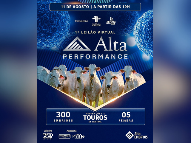 1° Leilão Virtual Alta Performance