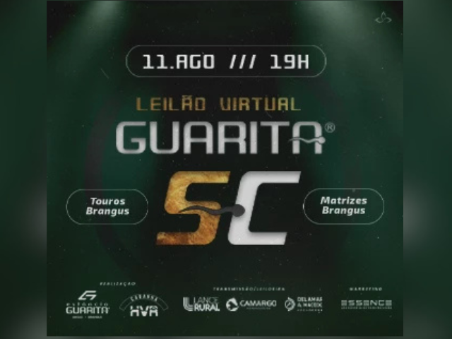 Leilão Virtual Guarita SC