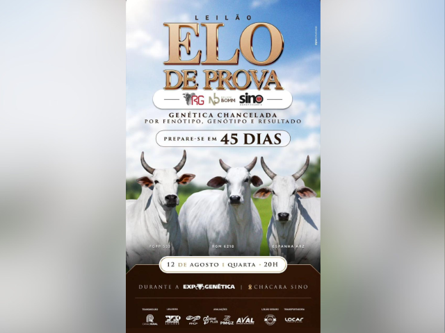 Leilão Elo de Prova