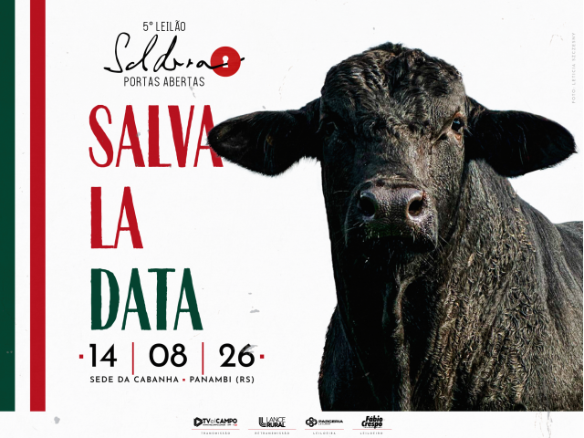 5º Leilão Soldera – Portas Abertas