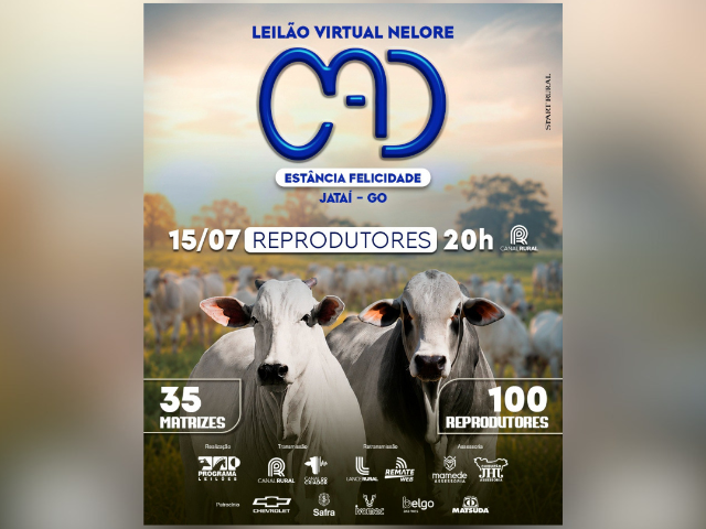 Leilão Virtual Nelore Cad