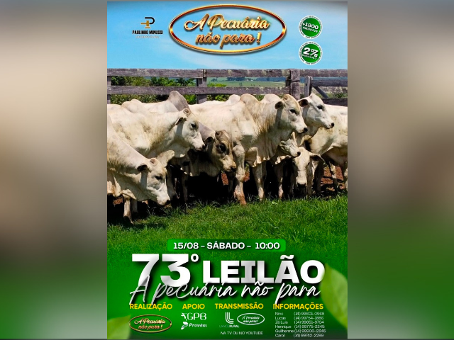 73º Leilão a Pecuaria Não Para