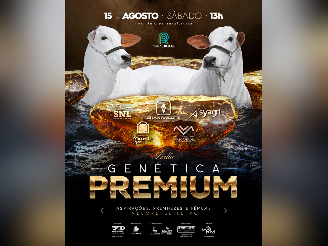 Leilão Genética Premium