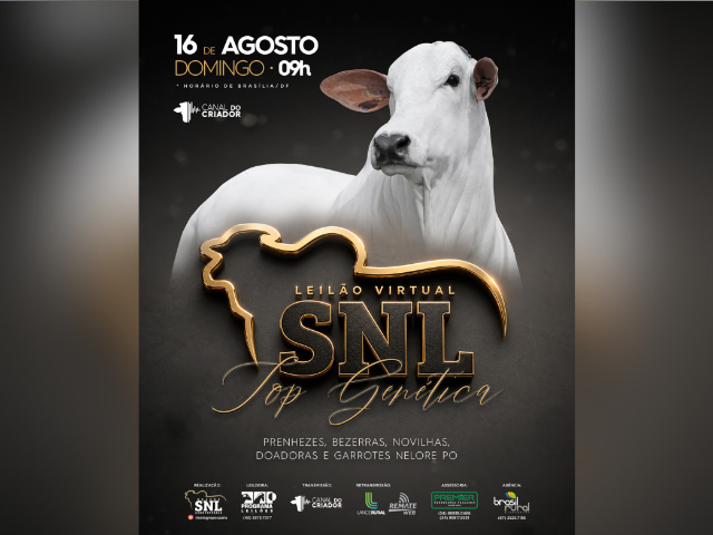 Leilão SNL  – Top Genética
