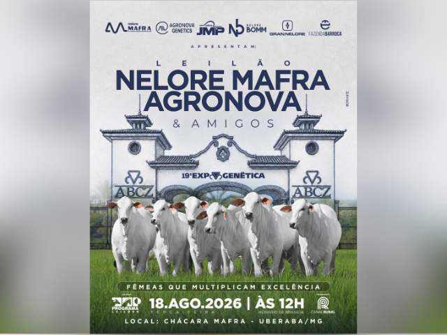 Leilão Nelore Mafra e Agronova
