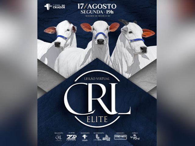 Leilão CRL Elite