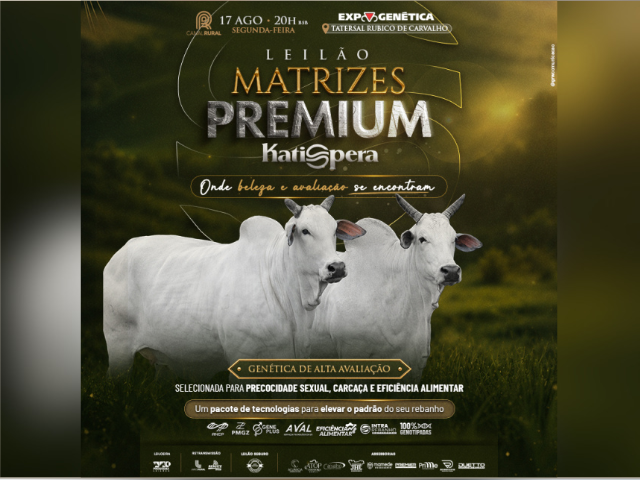 Leilão Matrizes Premium Katispera