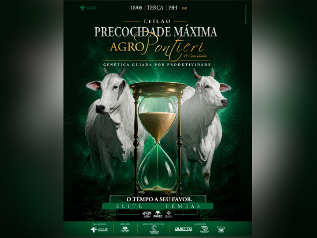Leilão Precocidade Máxima Agro Pontieri e Convidados