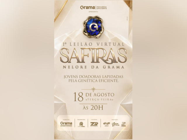 1° Leilão Safiras Nelore da Grama