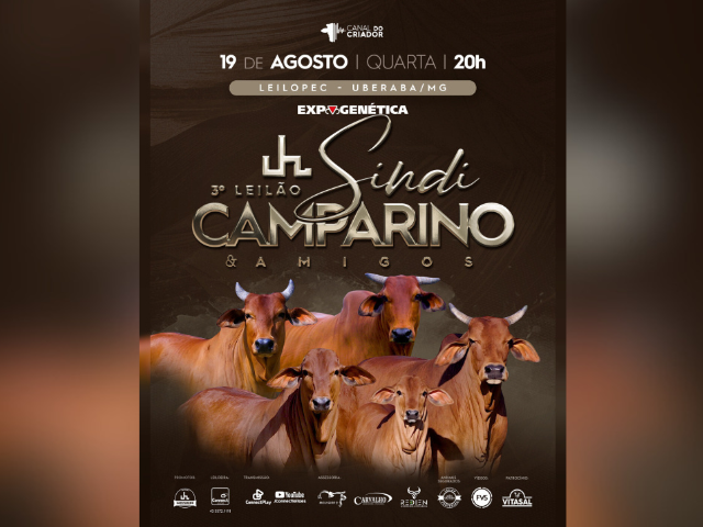 3° Leilão Sindi Camparino e Amigos