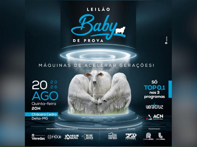 Leilão Baby de Prova – Vera Cruz