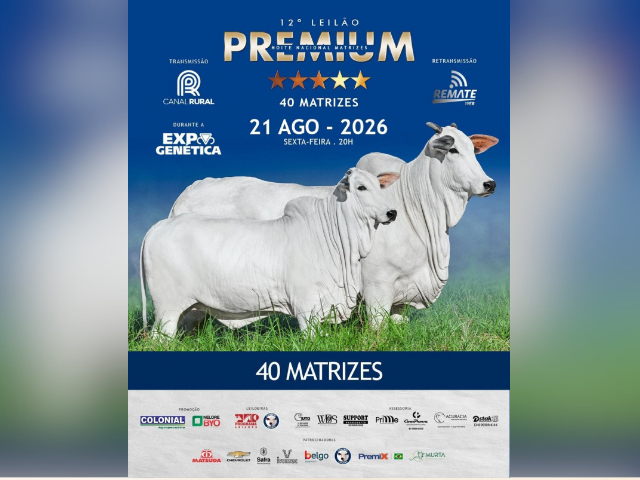 12° Leilão Premium Noite Nacional Matrizes