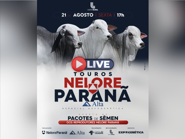 Live Touros Nelore Paranã