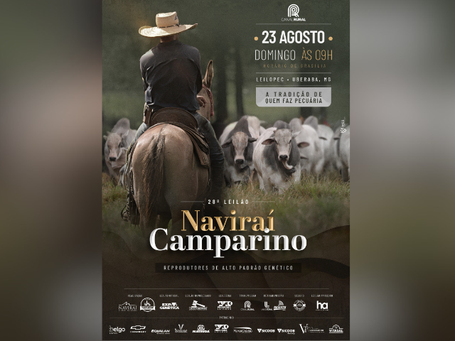 28° Leilão Naviraí Camparino – Reprodutores