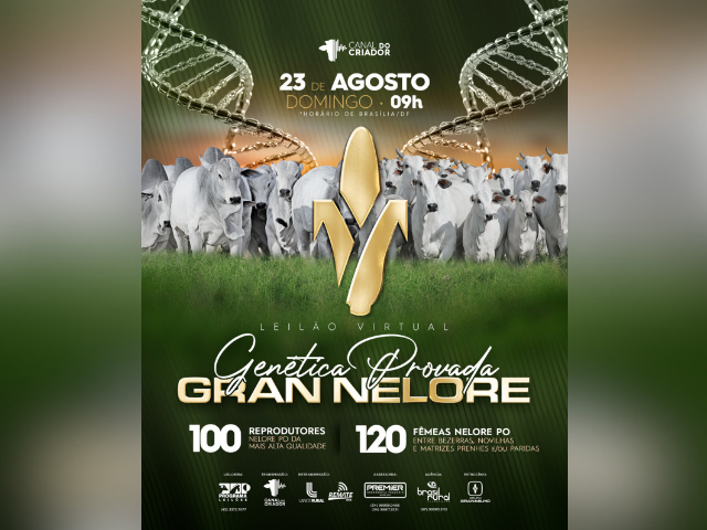 Leilão Virtual Genética Provada Gran Nelore