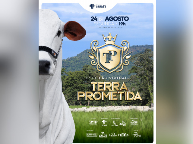 6° Leilão Virtual Terra Prometida