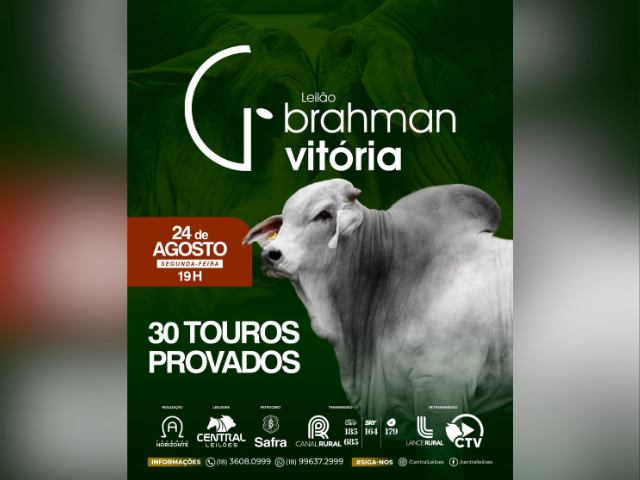 Leilão Brahman Vitória