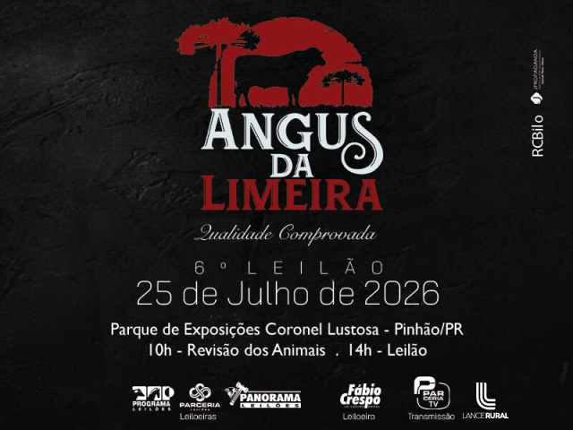 6º Leilão Angus Da Limeira