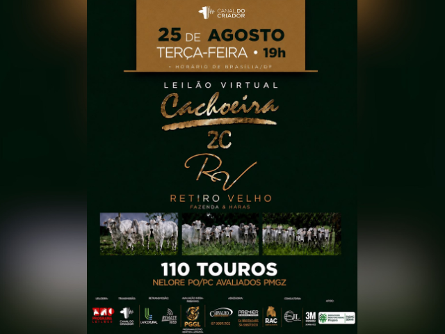 Leilão Virtual Cachoeira 2C e Fazenda & Haras Retiro Velho