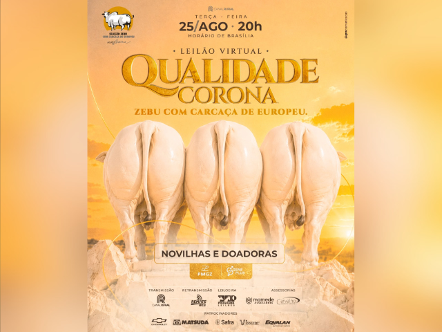 Leilão Virtual Qualidade Corona
