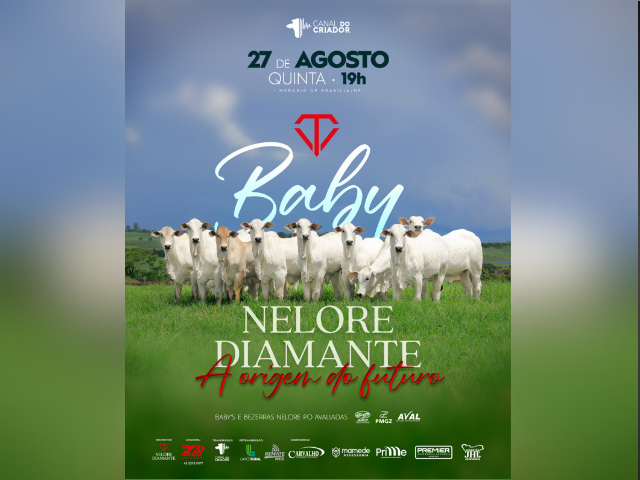 Leilão Baby Nelore Diamante – A Origem Do Futuro