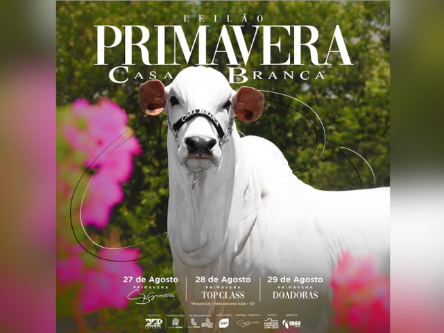 Leilão Primavera Casa Branca – Etapa Top Class