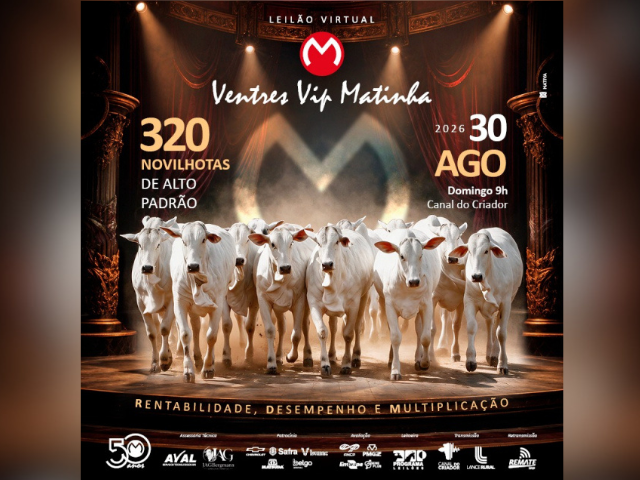 Leilão Virtual Ventres Vip Matinha