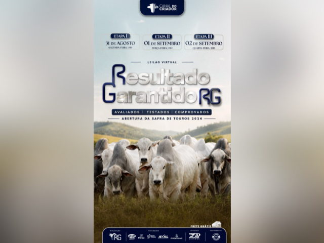 Leilão Resultado Garantido RG – 1ª Etapa